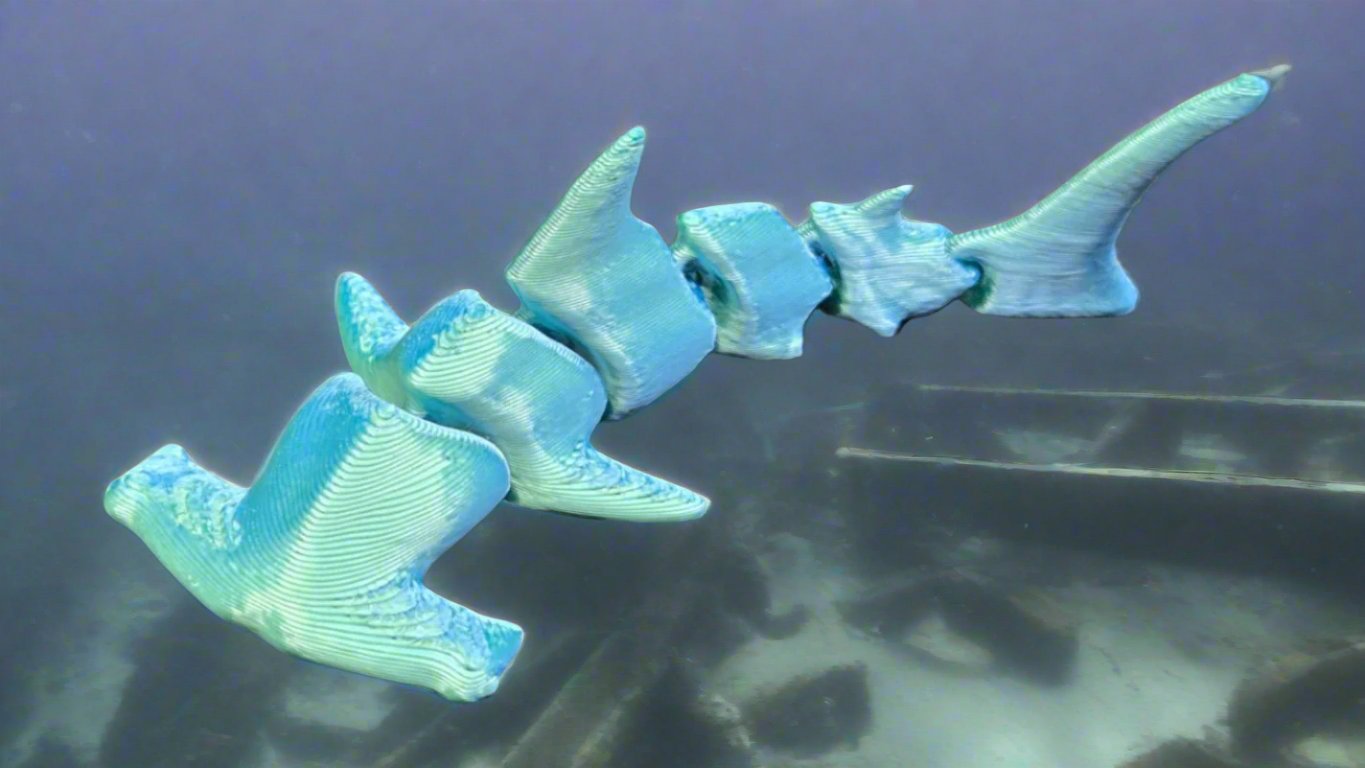 Articulated Hammerhead Shark