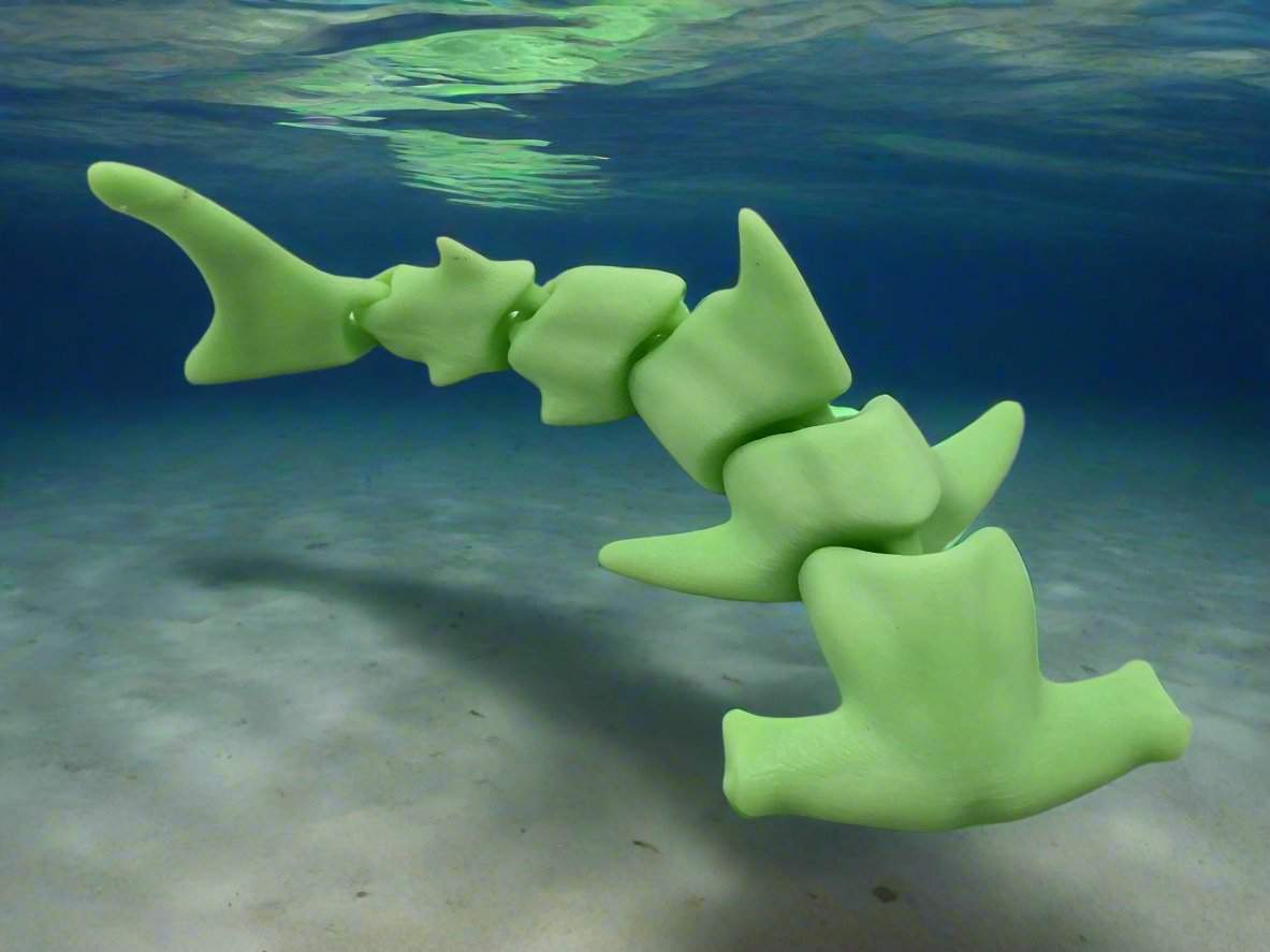 Articulated Hammerhead Shark