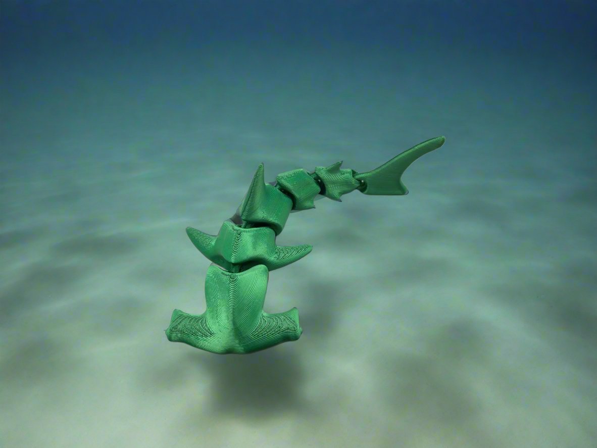 Articulated Hammerhead Shark